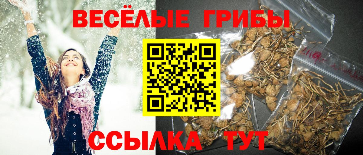 Галлюциногенные грибы ЛСД Королёв