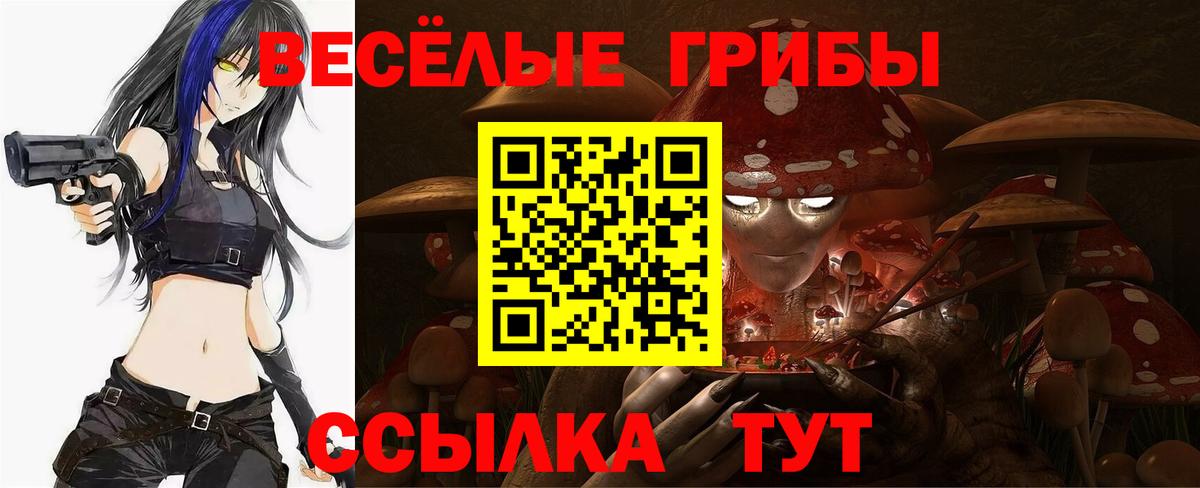 Королёв  купить закладку  Вход с VPN  Галлюциногенные грибы мухоморы 