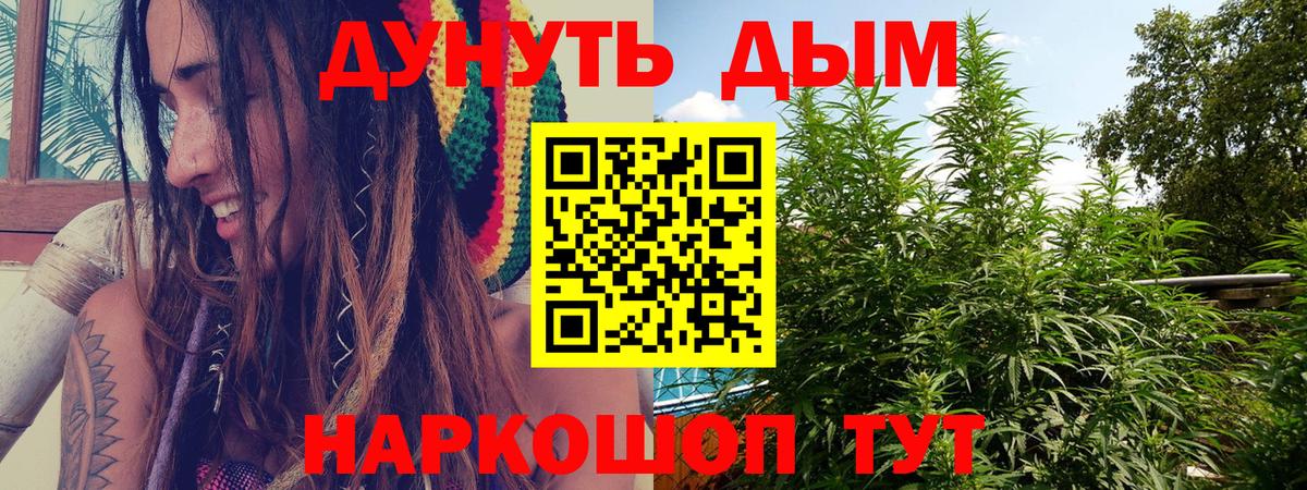 Королёв  Конопля сатива  Конопля семена  Вход с VPN 